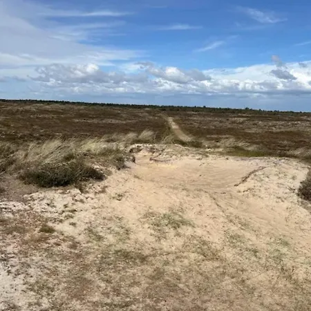 5 Person In Romo-by Traum *