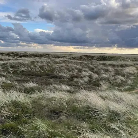 Апартаменты 5 Person In Romo-by Traum *