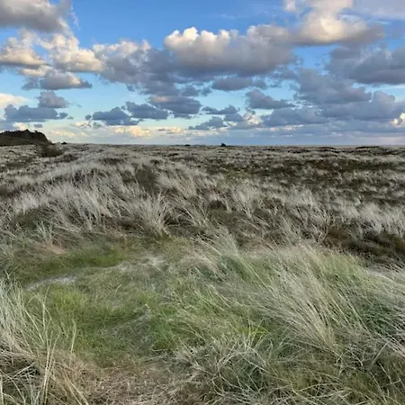 5 Person In Romo-by Traum