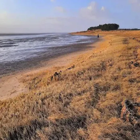 5 Person In Romo-by Traum *