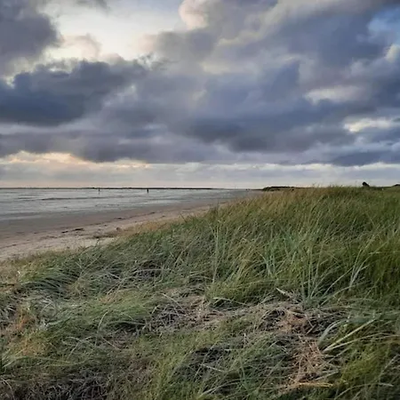 5 Person In Romo-by Traum *