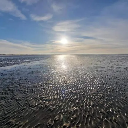 5 Person In Romo-by Traum