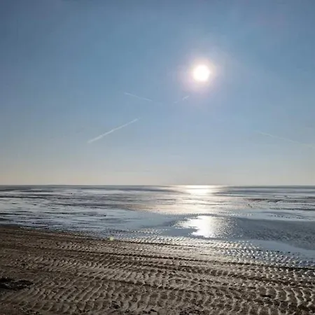 5 Person In Romo-by Traum *