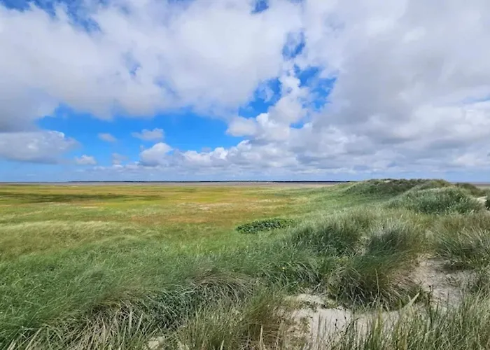 Lejlighed 5 Person In Romo-by Traum *