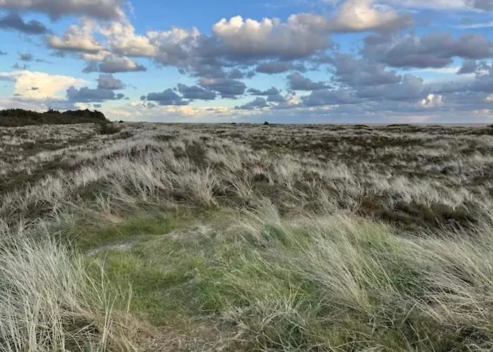 5 Person In Romo-by Traum