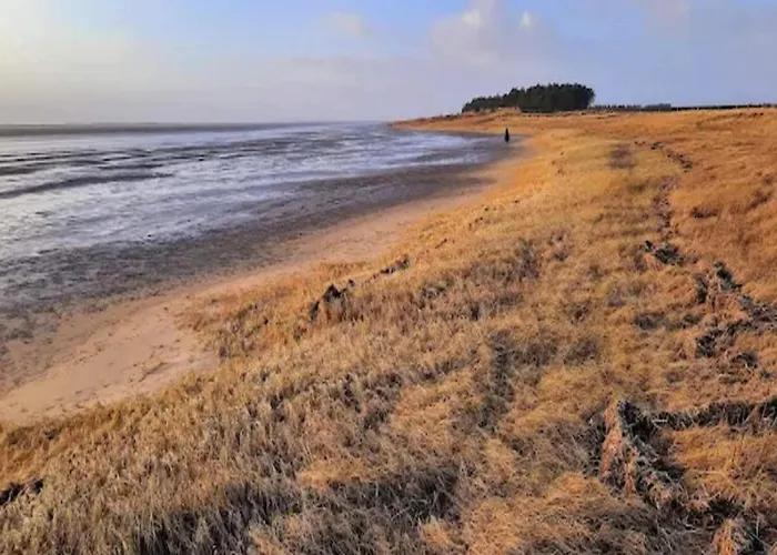 5 Person In Romo-by Traum *