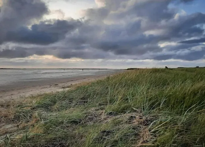 5 Person In Romo-by Traum *