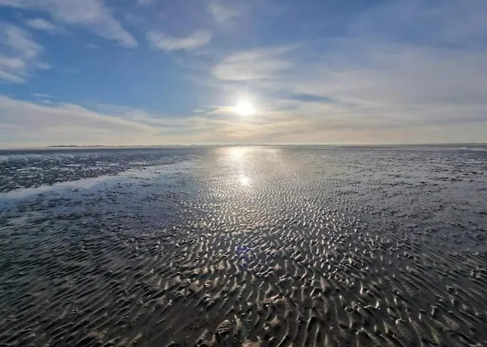 5 Person In Romo-by Traum