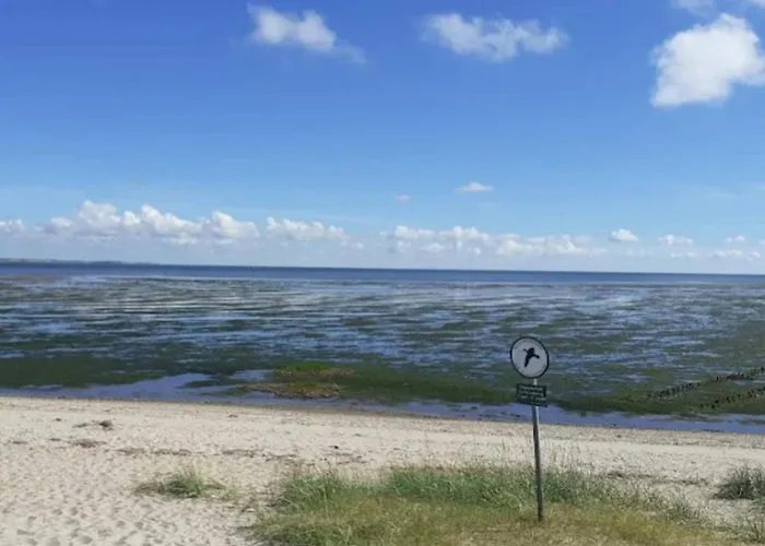 5 Person In Romo-by Traum Sønderby