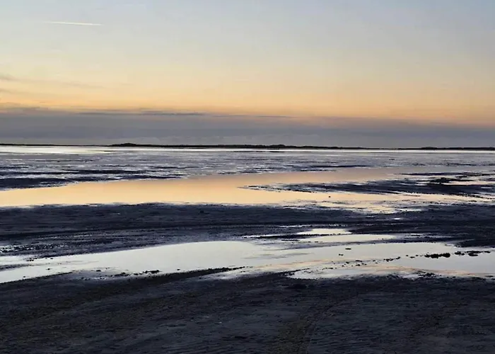 Lejlighed 5 Person In Romo-by Traum